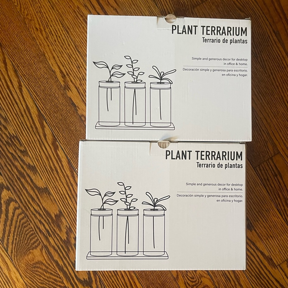 Plant Terrarium